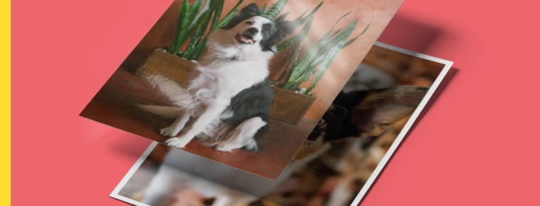 Klasszikus fotókidolgozás